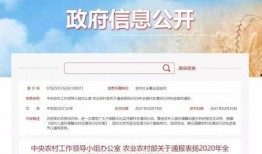 商洛新闻爆料电话查询,揭秘市民身边事，倾听民声传递正义